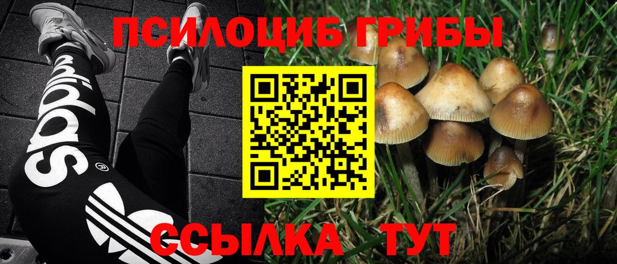 Галлюциногенные грибы Cubensis  Вход с VPN  Карасук 