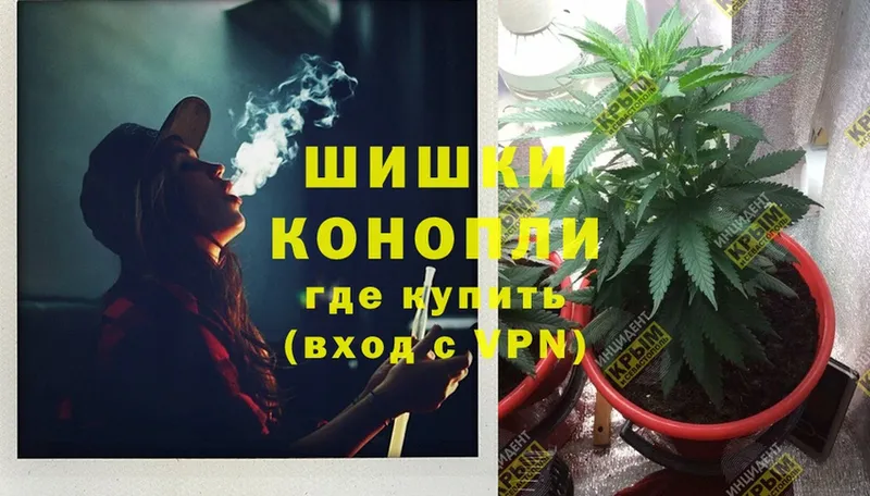 Бошки Шишки OG Kush  Карасук 